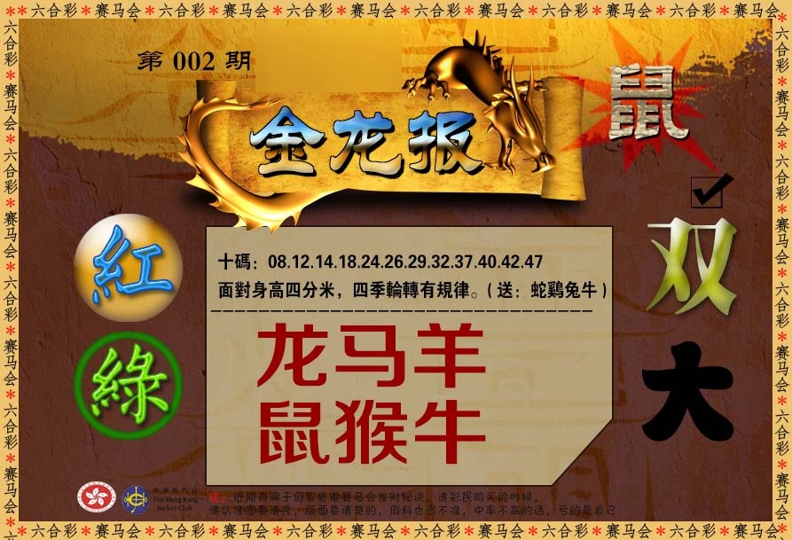 002期金龙报[图]